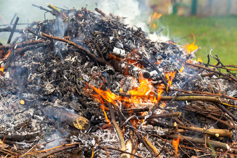 Turn Dead Leaves into Garden Gold with Safe Burning Practices