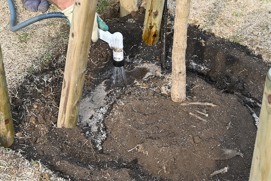 Call 317-348-0811 for a Tree Service Estimate in Indianapolis