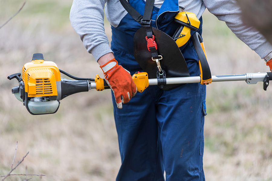 Tree Pruning Tool Guide