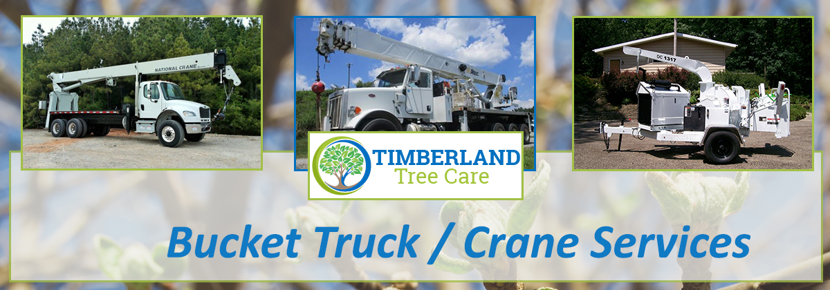 Bucket Truck / Crane Service
