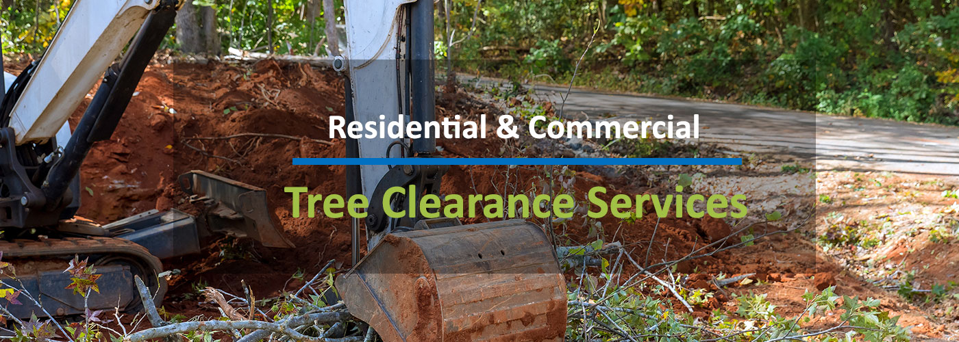 Tree Clearing Services Indianapolis Indiana