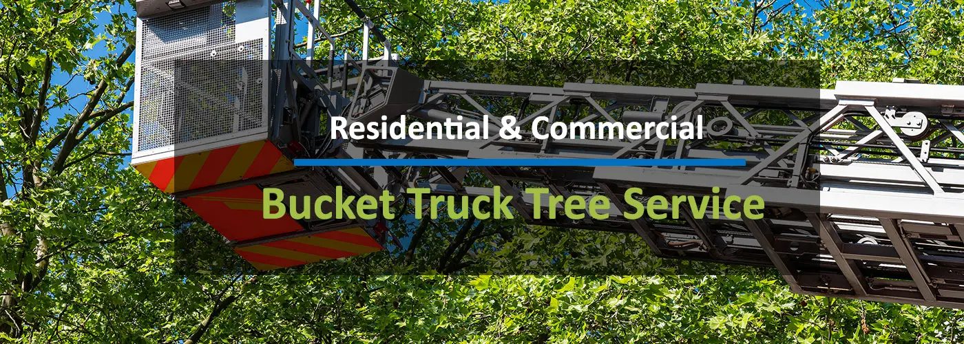 Bucket Truck Crane Service Indianapolis