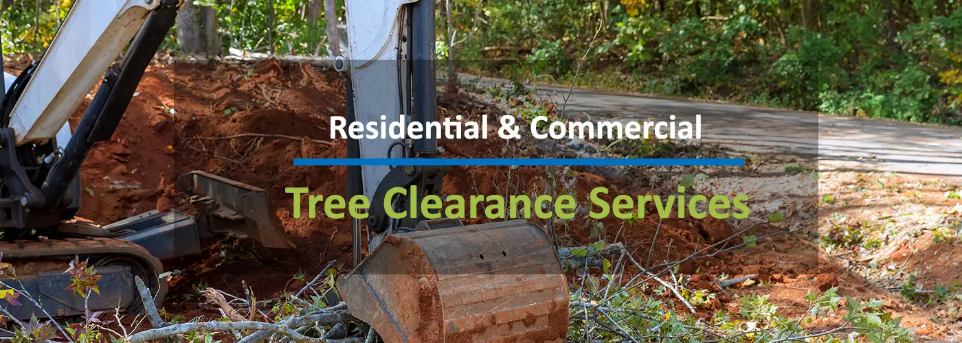 Tree Clearing Services Indianapolis Indiana