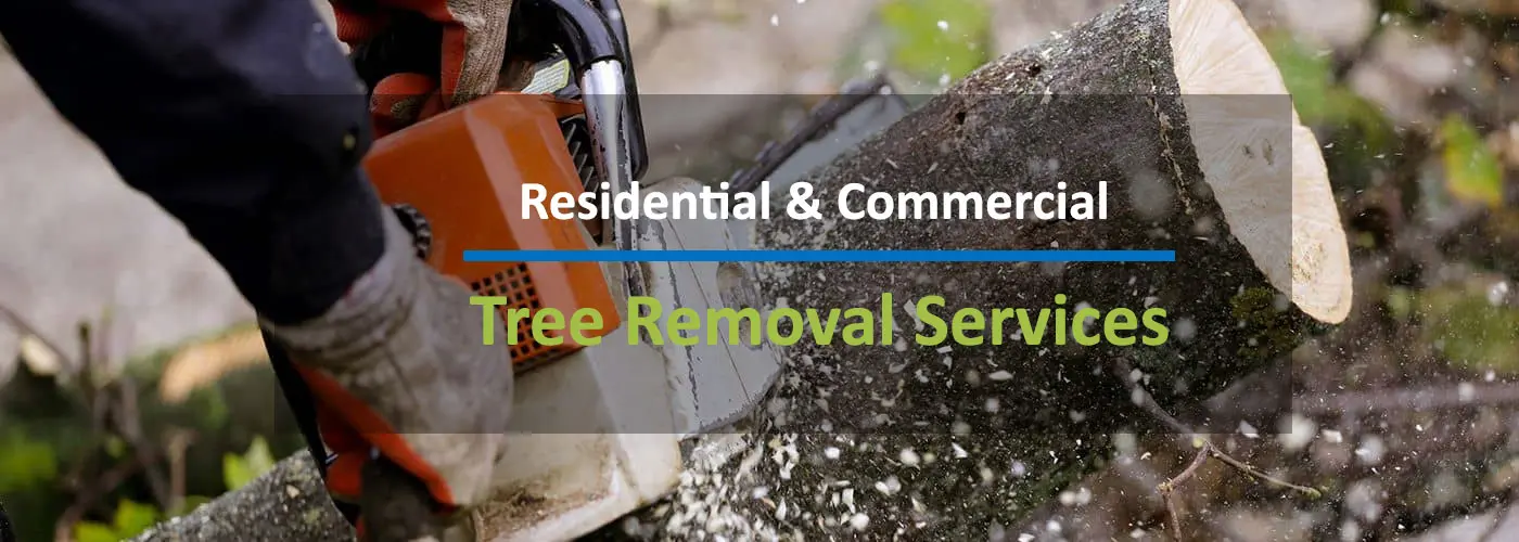 Tree Removal Indianapolis Indiana